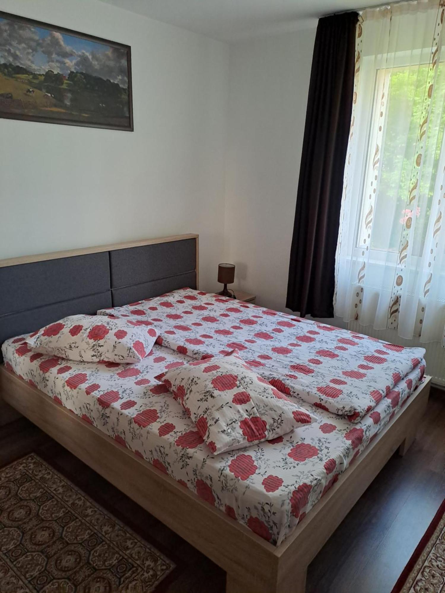 Appartement Orion à Predeal Extérieur photo